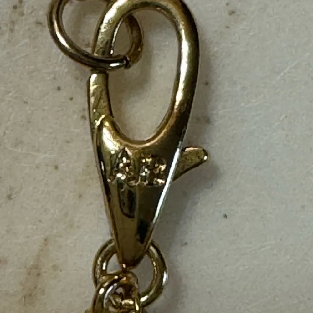 Alexis Bittar 